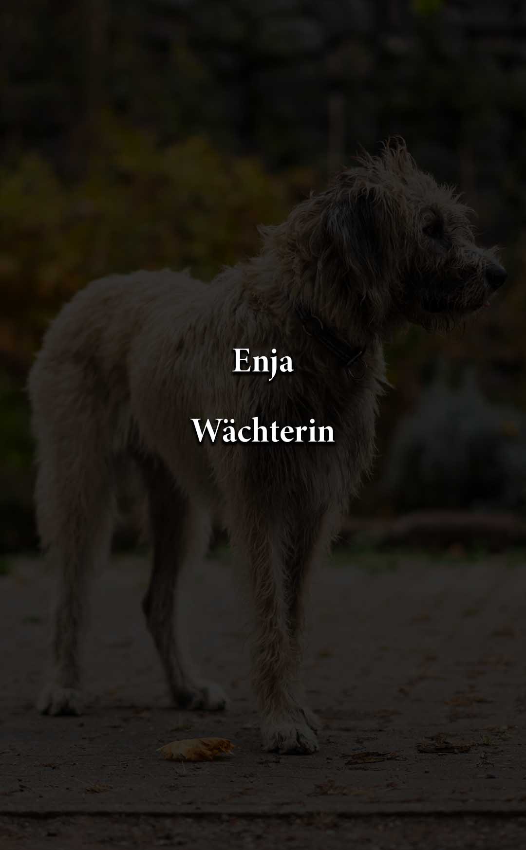 Enja_schwarz