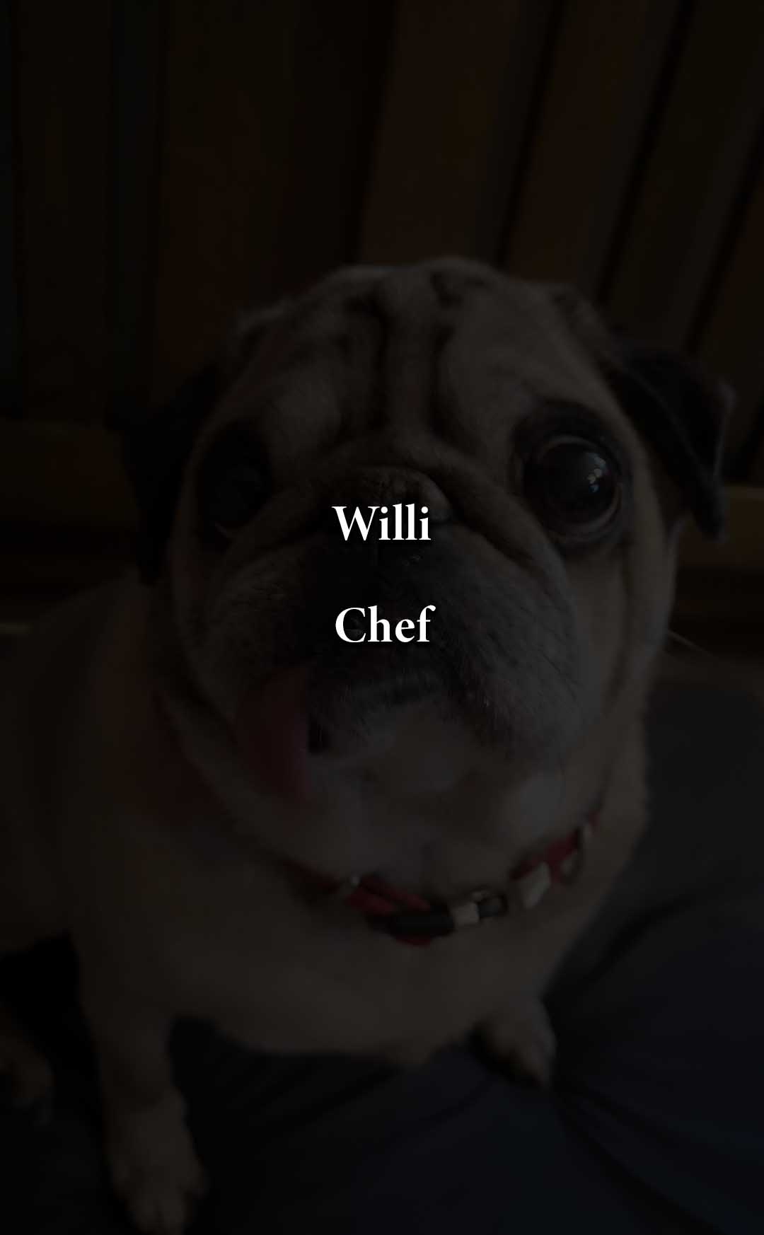 Willi_schwarz