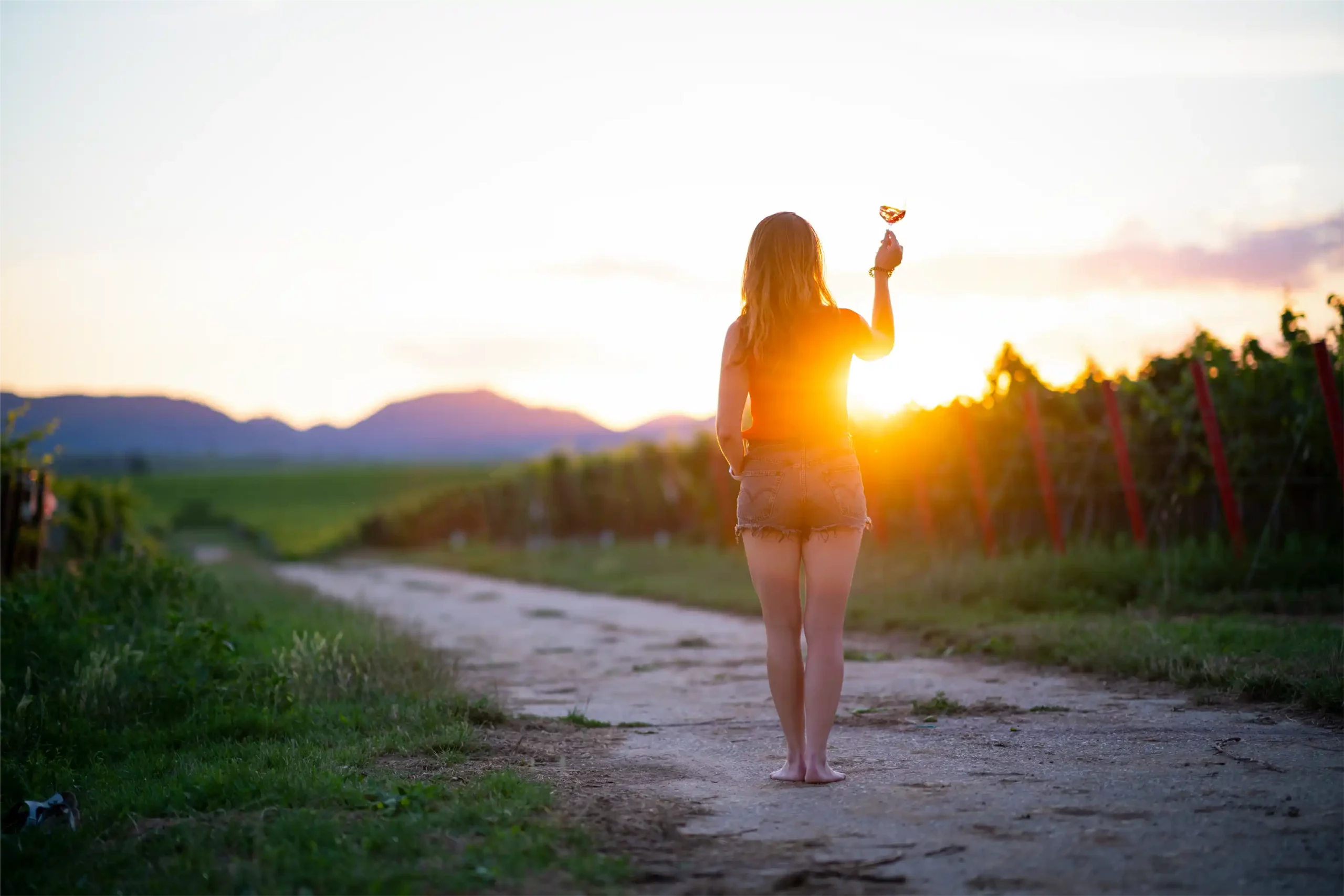 Elena Lind mit Weinglas beim Sonnenuntergang in den Weinbergen