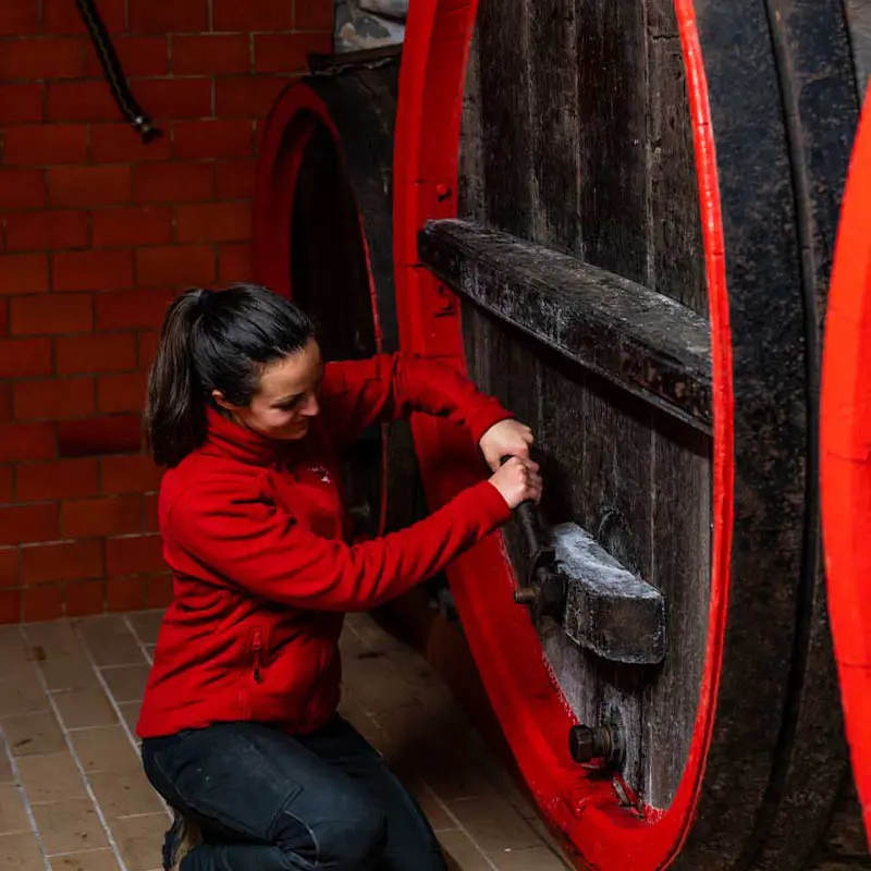 Elena Lind breaks (opens) the door of a red wine barrel that is over 140 years old.