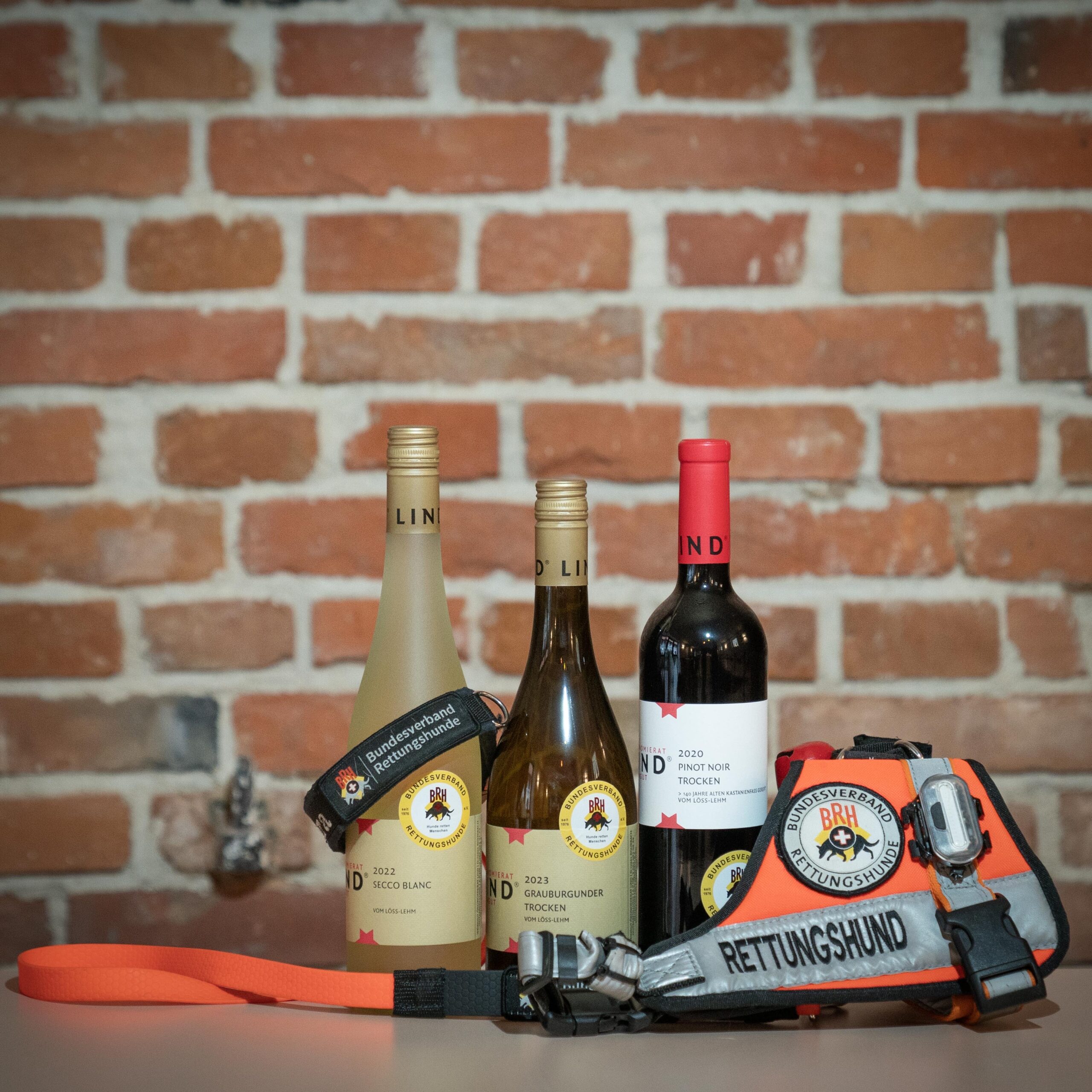 BRH trocken – Weinpaket mit Secco, Grauburgunder und Pinot Noir, unterstützt Rettungshunde