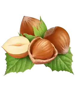 Haselnuss