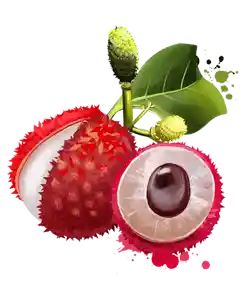 Litschi