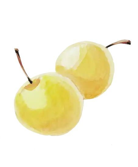 Mirabelle